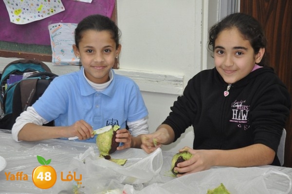 tolab 7san qmeam (7).JPG